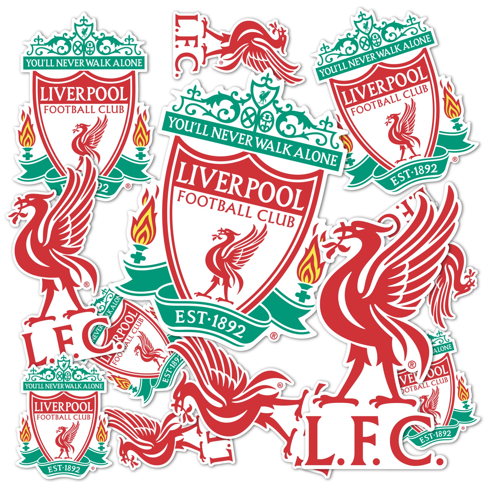 Amazon.com: Desert Cactus Liverpool FC Sticker Decal Vinyl English